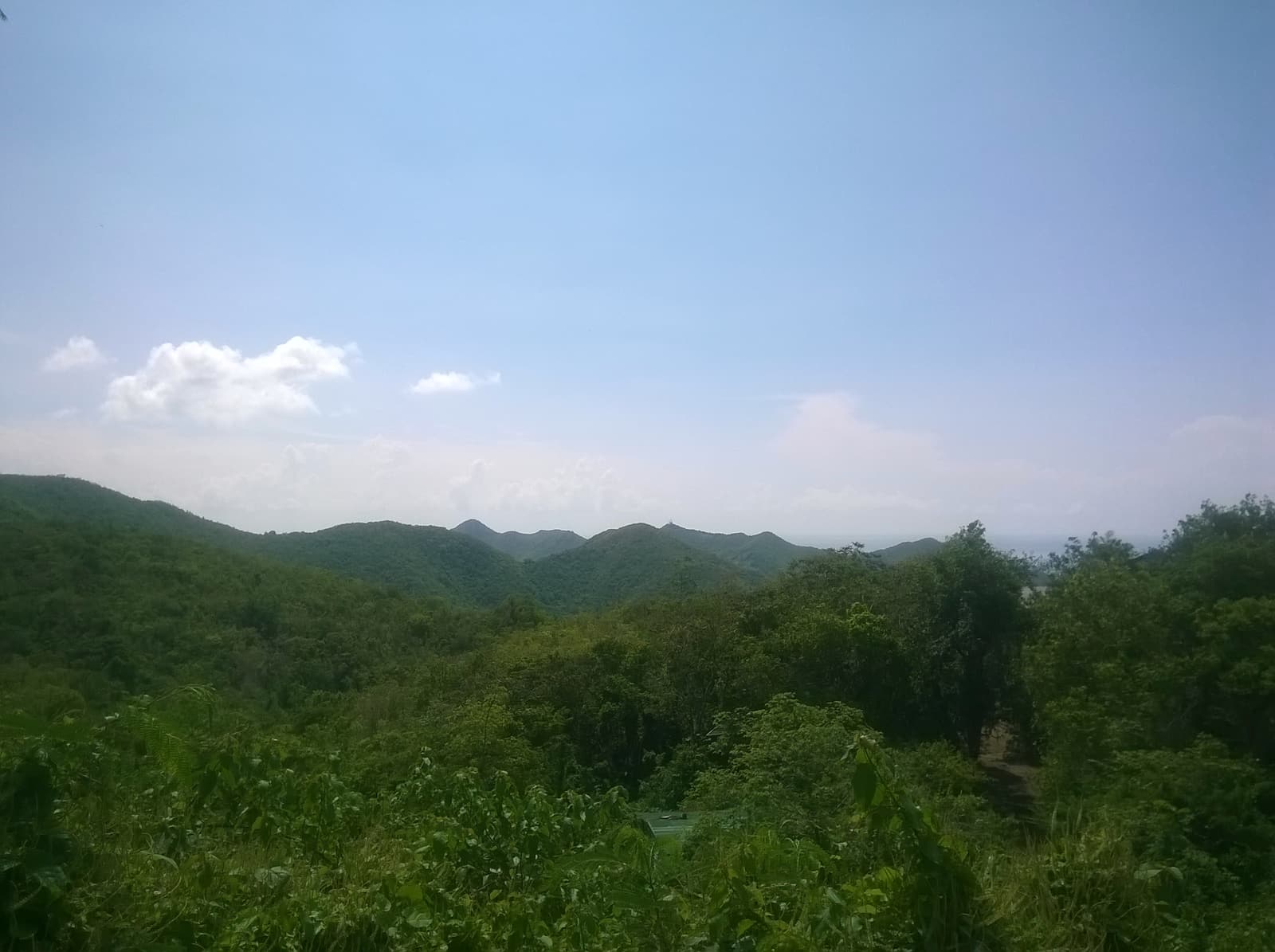Green forested hills in the interior of Saint-Martin seen from Pic Paradis