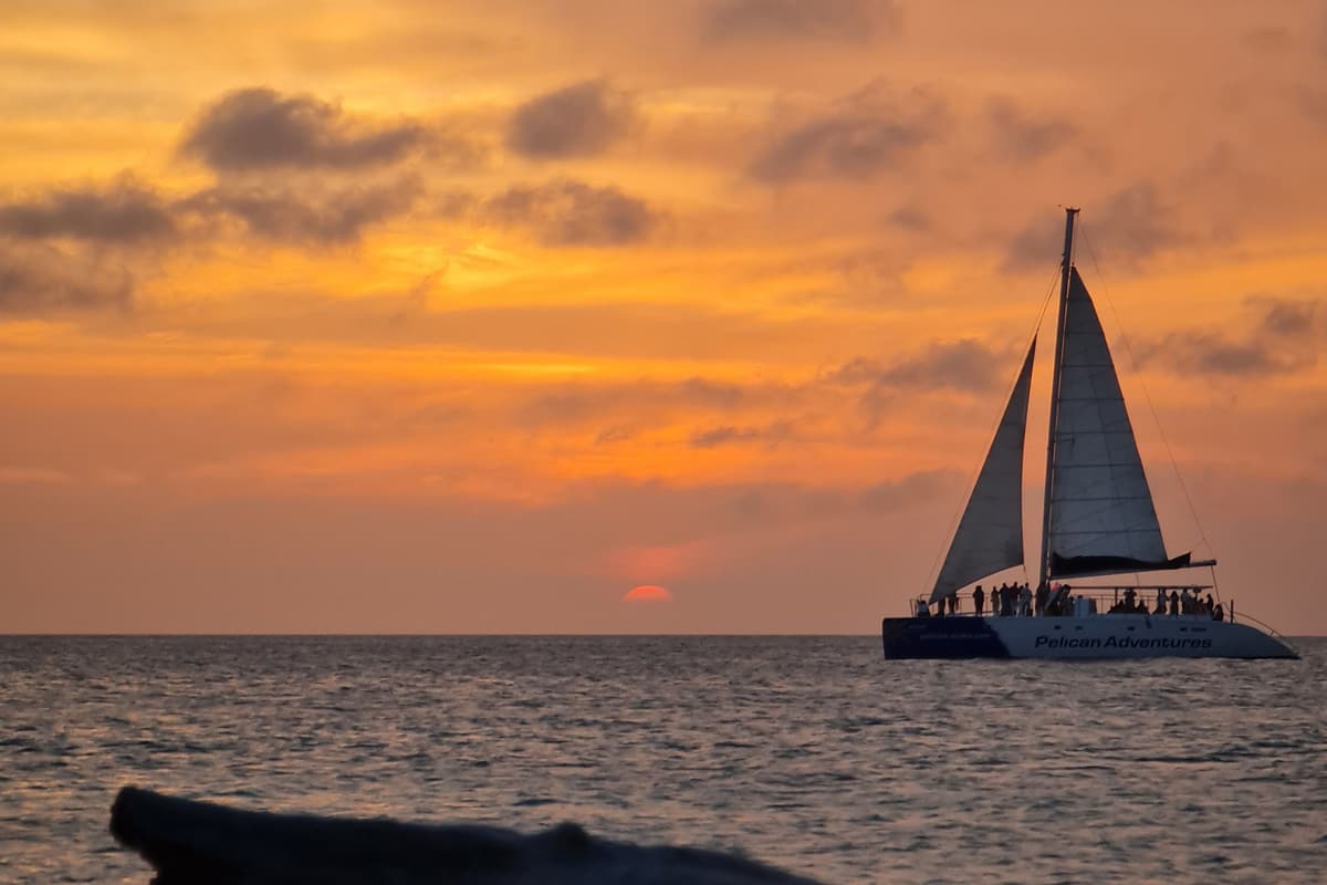 A catamaran under sail against an orange sunset